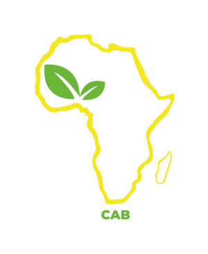 Logo association Culture au Bénin